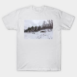 Winter in Eastern Canada T-Shirt